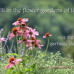 Flower Gardens