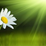 God's comfort in sorrow